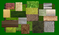 simple space verwandelt